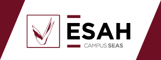 Curso de Gestión Recursos Humanos y Comunicación en Hostelería - ESAH, Estudios Superiores Abiertos de Hostelería