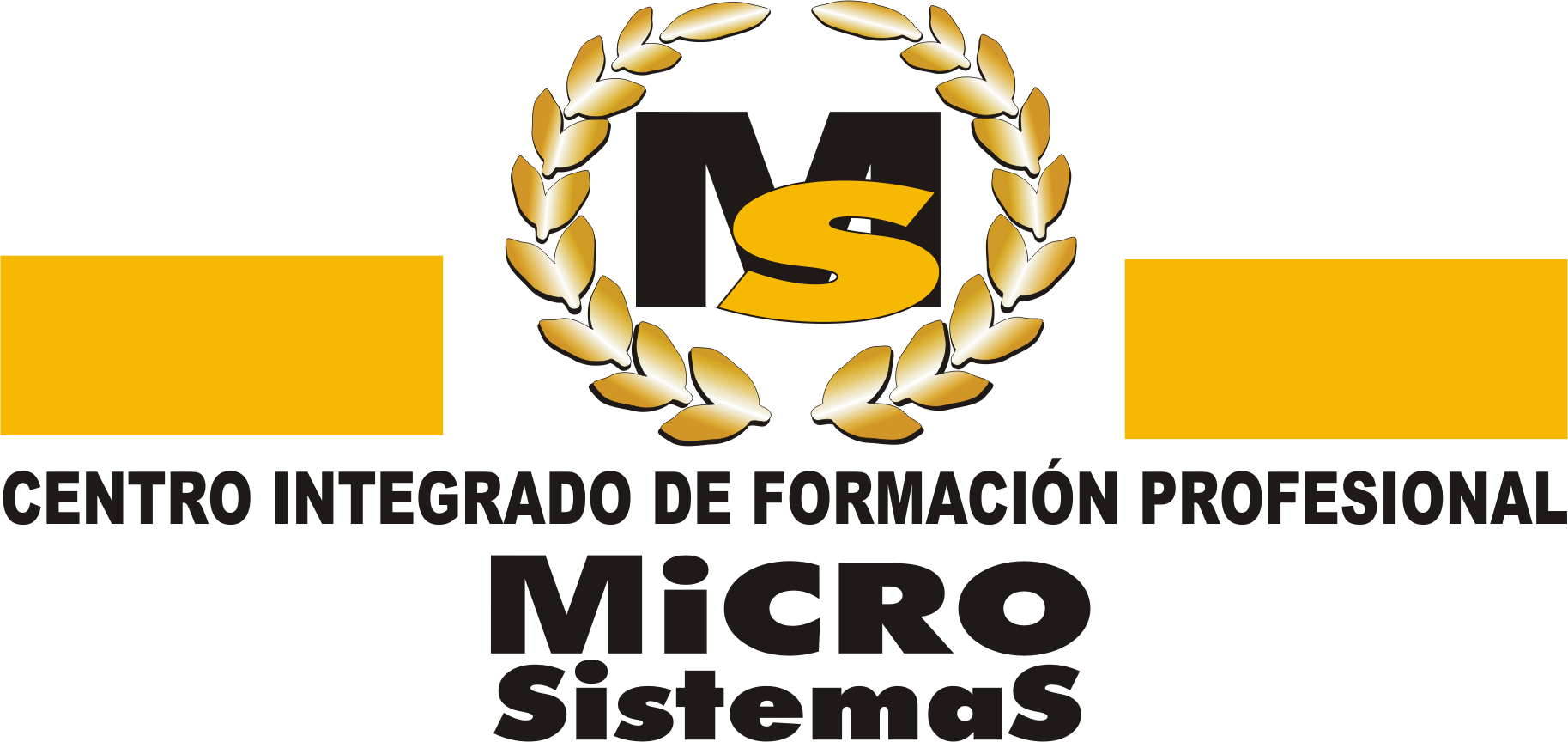 GESTIÓN DE RECURSOS HUMANOS - Microsistemas Lanzarote